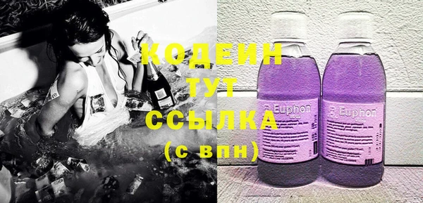 эйфоретик Гусь-Хрустальный