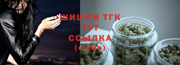 эйфоретик Гусь-Хрустальный