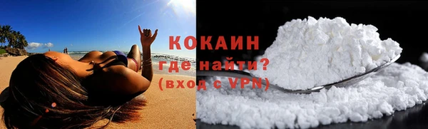 хмурый Гусев