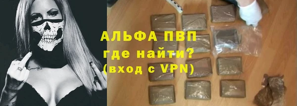 эйфоретик Гусь-Хрустальный