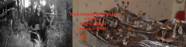 хмурый Гусев