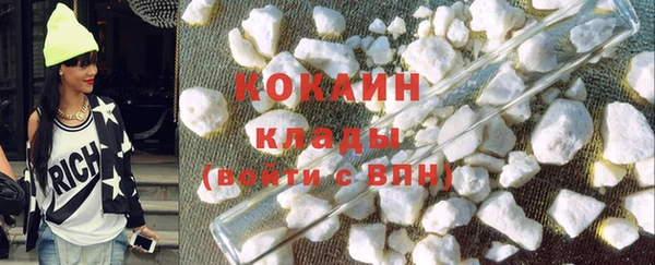 хмурый Гусев