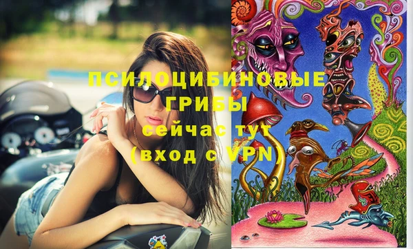 эйфоретик Гусь-Хрустальный