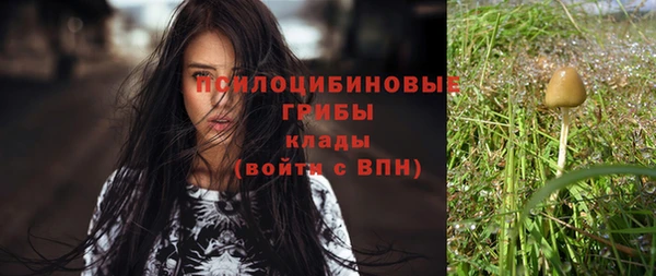 эйфоретик Гусь-Хрустальный