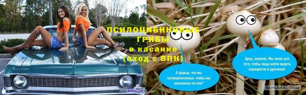 хмурый Гусев