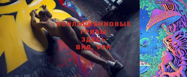 эйфоретик Гусь-Хрустальный