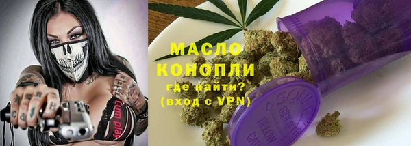 эйфоретик Гусь-Хрустальный