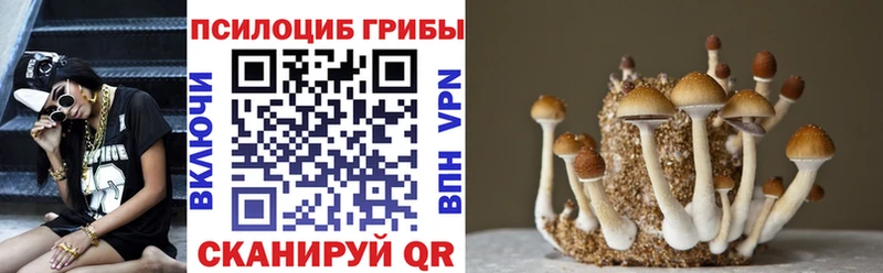 Псилоцибиновые грибы Cubensis Армавир