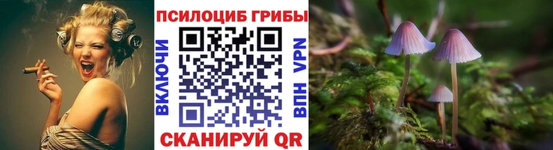 Псилоцибиновые грибы мицелий  Купить закладки  Армавир 